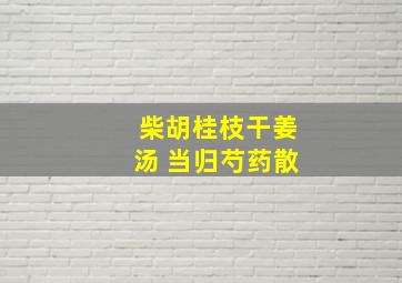 柴胡桂枝干姜汤 当归芍药散